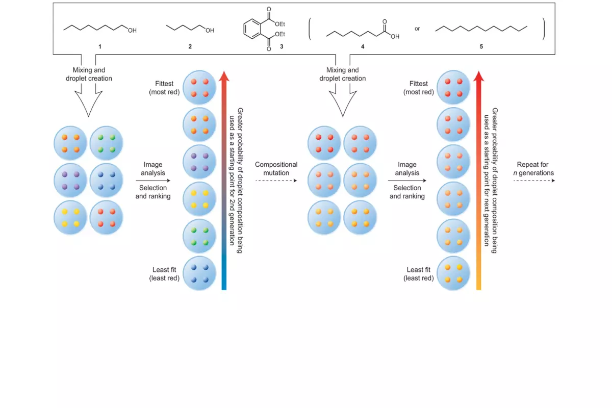 ajb naturechem 2015
