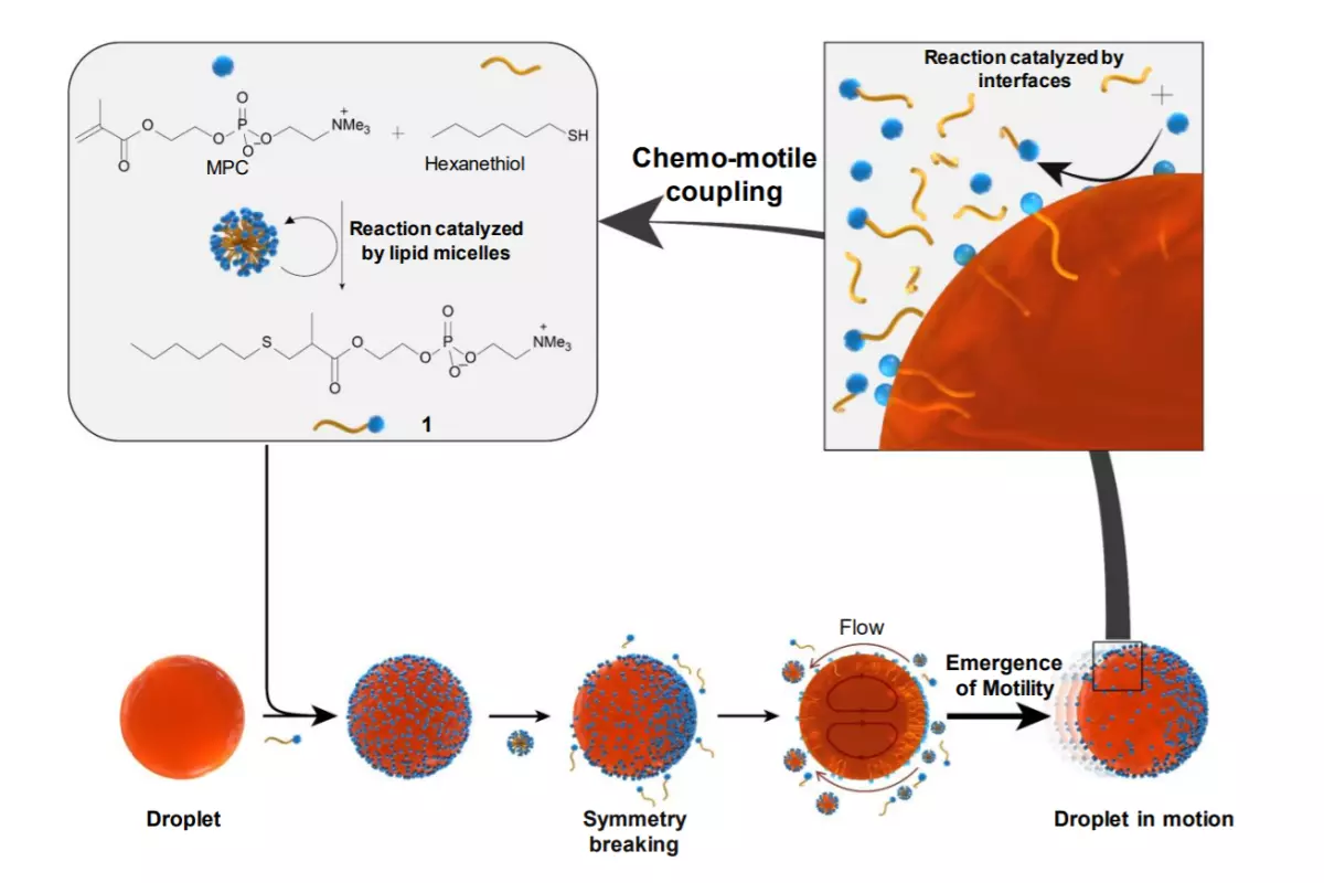 rs chemrxiv 2020