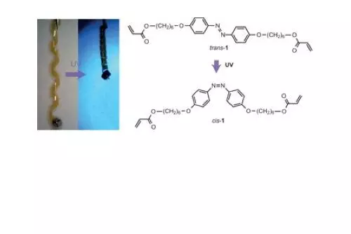 si chemworld 2014