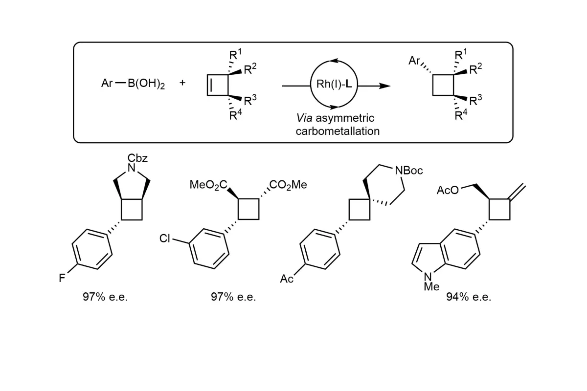 wg natchem 2021 3